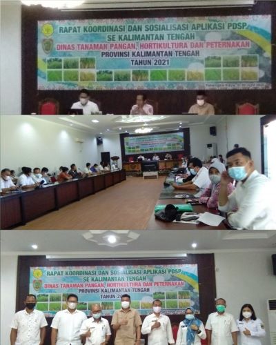 CollageMaker_20210610_002944512