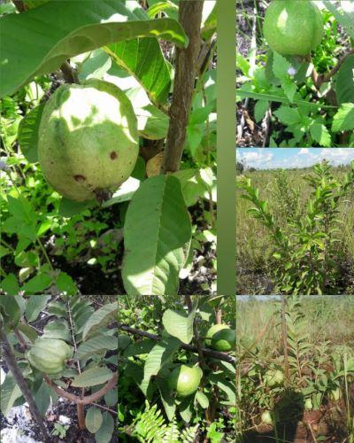 CollageMaker_20210708_234124145