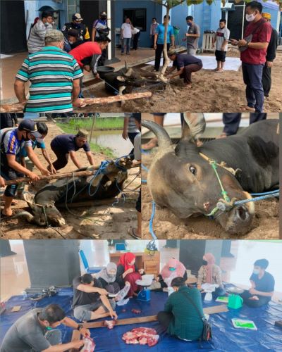 CollageMaker_20210721_064405428