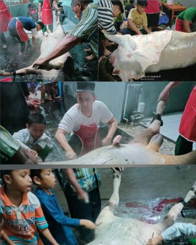 CollageMaker_20210723_130253741