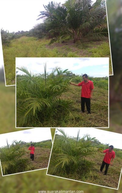 CollageMaker_20211010_102310080