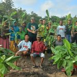 CSR PT. Sungai Rangit ajak Petani Budidaya Tanaman Pisang Barangan