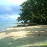 IMG-20250711-WA0035