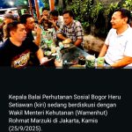 Oplus_131072