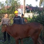 Oplus_131072